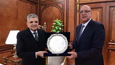 المستشار هشام بدوي    