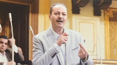 النائب حسين غيته    