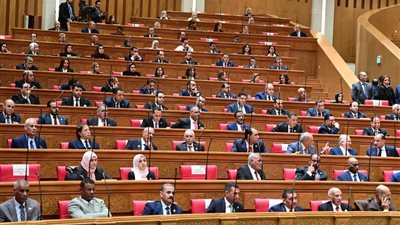 أعضاء مجلس النواب    