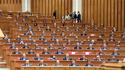 أعضاء مجلس النواب    