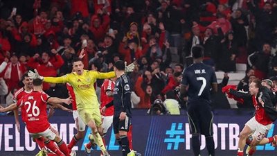 ملخص مباراة ريال مدريد وبنفيكا في دوري أبطال أوروبا    