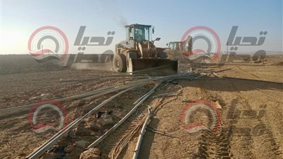 صور خاصة لـ تحيا مصر     