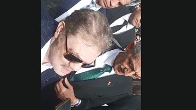 الدكتور السيد البدوي شحاتة    