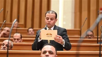 النائب مدحت الكمار، عضو مجلس النواب    