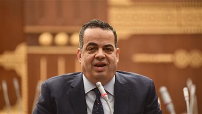 النائب عصام عفيفي    