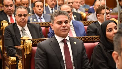 النائب مجدى البرى     