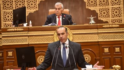 المستشار محمود فوزي    