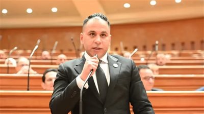 النائب إبراهيم مجدي حسين،    