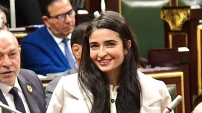 النائبة ايرين سعيد    