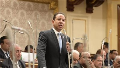 النائب حسن عمارالنائب حسن عمار، وكيل لجنة الشئون الاقتصادية    