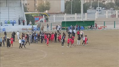 فرحة المنيا    