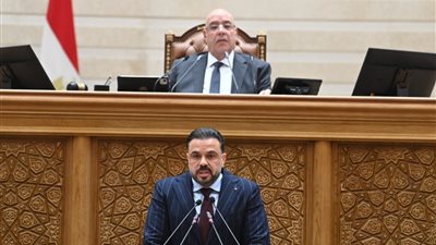  النائب محمد مجاهد    