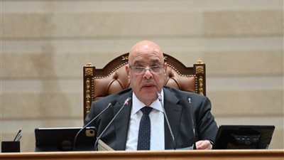 المستشار هشام بدوي    