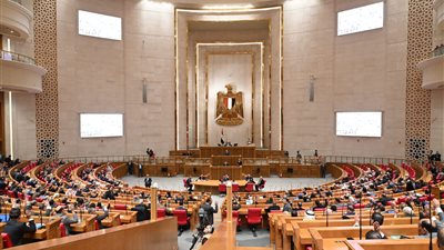 مجلس النواب    