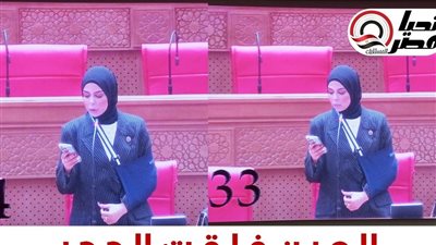 النائبة سجى عمرو    