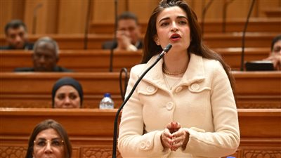 عضو مجلس النواب، إيرين سعيد    