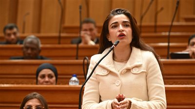 النائبة إيرين سعيد    