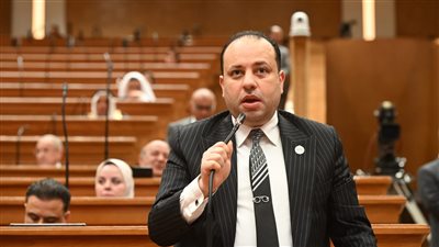 النائب عبده مأمون    