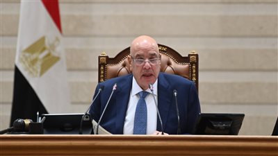 المستشار هشام بدوي رئيس مجلس النواب    