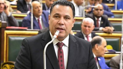 النائب عماد الغنيمي     