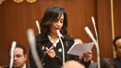 النائبة يوستينا رامي، عضو مجلس الشيوخ    