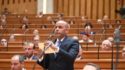 النائب ياسر منصور قدح، عضو لجنة الزراعة والري بمجلس النواب    