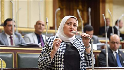 النائبة سناء السعيد، عضو مجلس النواب    