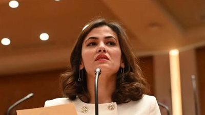 عضو مجلس النواب نيفين إسكندر    