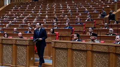 الحكومة في البرلمان- أرشيفية    