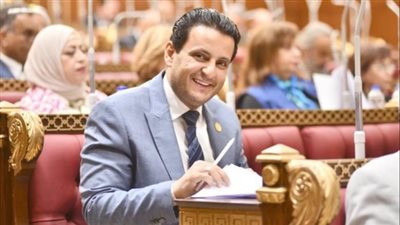 النائب أحمد سمير زكريا    