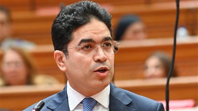  النائب ضياء الدين داود    