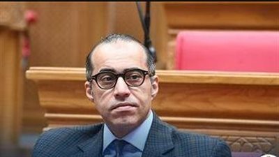 الوزير المستشار محمود فوزي     