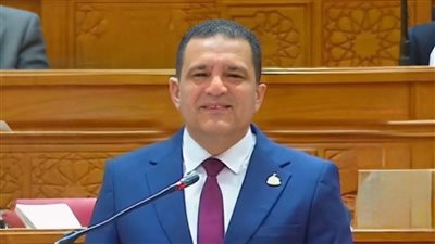 النائب أمير أحمد الجزار عضو مجلس النواب عن الحزب المصري الدي    