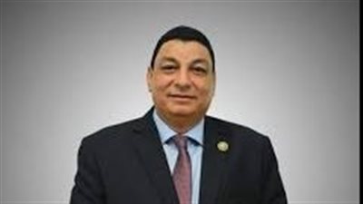 سامي نصر الله، عضو مجلس النواب    