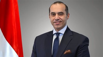 المستشار محمود فوزي     