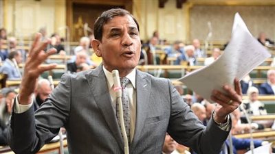 النائب محمد عبدالعليم داود    