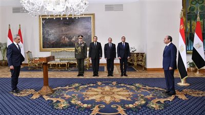 المستشار هانى حنا    