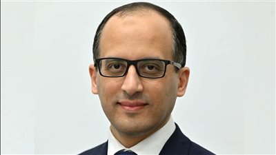 المستشار محمد الحمصاني، المتحدث باسم مجلس الوزراء    