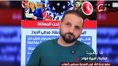  النائبة أميرة فؤاد خلال مداخلة هاتفية لبرنامج 