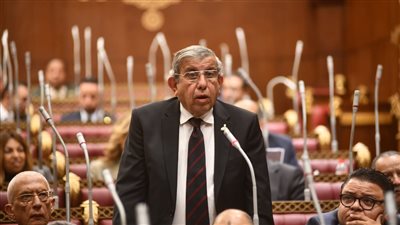 النائب علاء عبد النبي، وكيل لجنة الزراعة والري بمجلس الشيوخ    