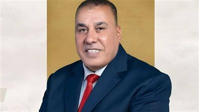  النائب محمد أبو النصر، عضو مجلس الشيوخ عن حزب حماة الوطن    