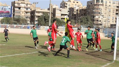 النصر وايسترن كومباني    