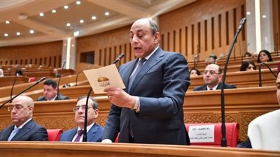 الفريق محمد عباس حلمي    