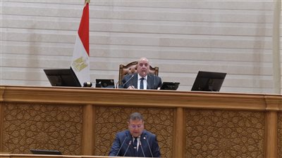 مجلس النواب    