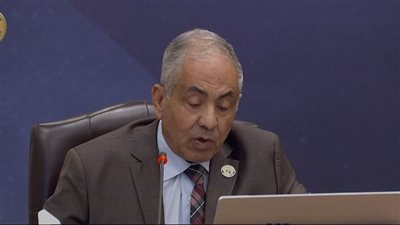 اللواء أحمد العوضي النائب الأول لرئيس حزب حماة الوطن    