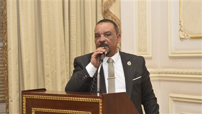  النائب أحمد حافظ    