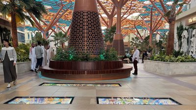 غابة مكيفة في قطر    