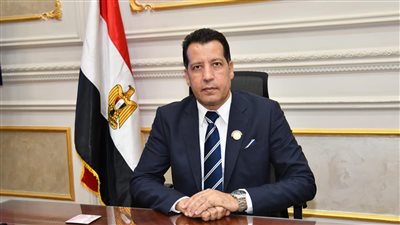 النائب هشام الحسيني ربيع    