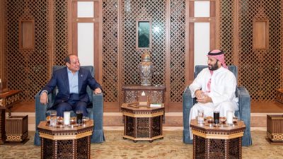 القمة المصرية السعودية 