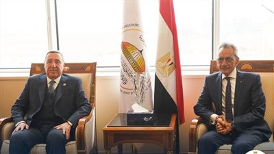 هاني حنا، وزير شئون المجالس النيابية    